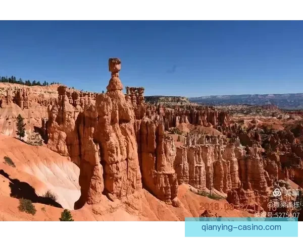 美加墨世界杯举办城市精彩纷呈全景解析与旅游攻略指南